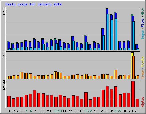 Daily usage for January 2019