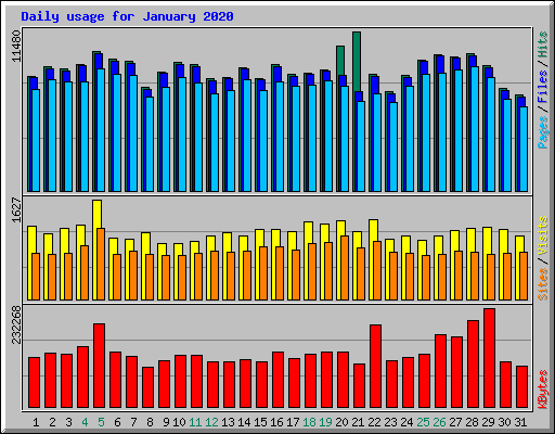 Daily usage for January 2020