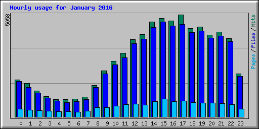 Hourly usage for January 2016