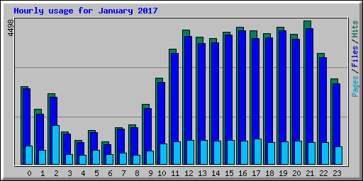 Hourly usage for January 2017