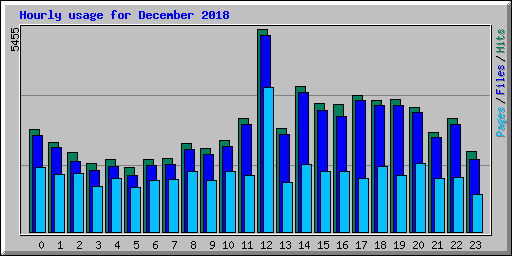Hourly usage for December 2018