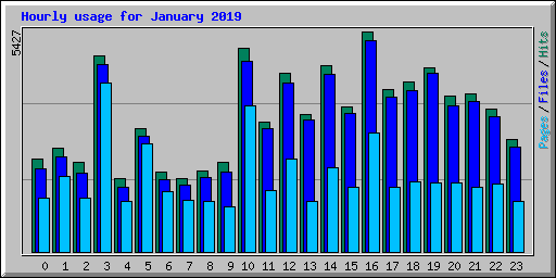 Hourly usage for January 2019