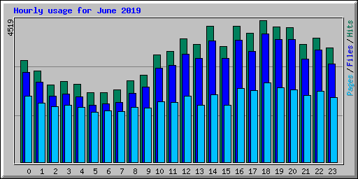 Hourly usage for June 2019
