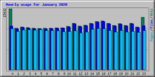 Hourly usage for January 2020