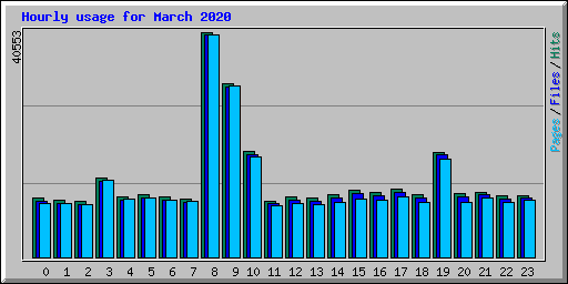 Hourly usage for March 2020