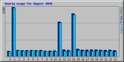 Hourly usage for August 2020